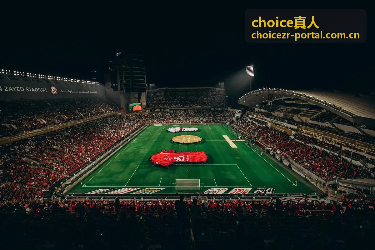 choice真人场景指南中的视讯选择说明